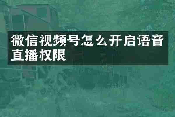 微信视频号怎么开启语音直播权限