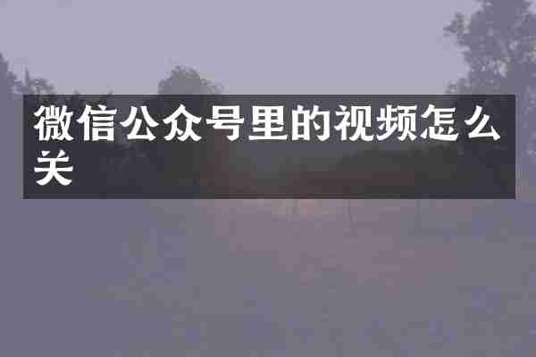 微信公众号里的视频怎么关