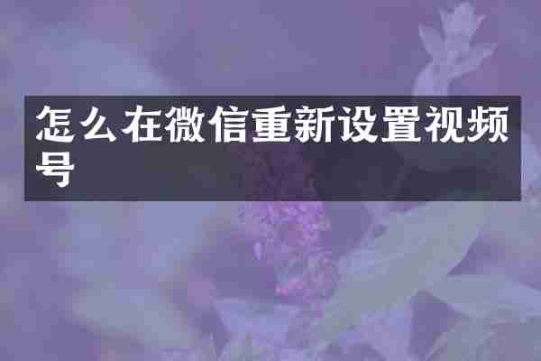 怎么在微信重新设置视频号