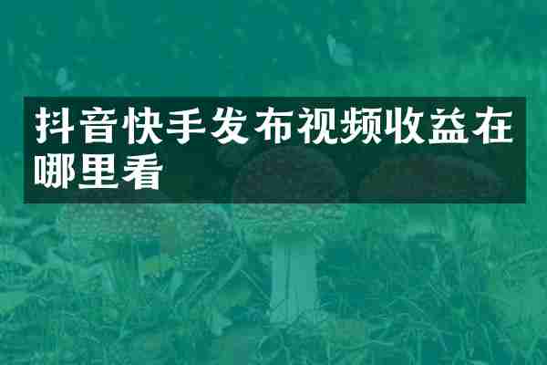 抖音快手发布视频收益在哪里看