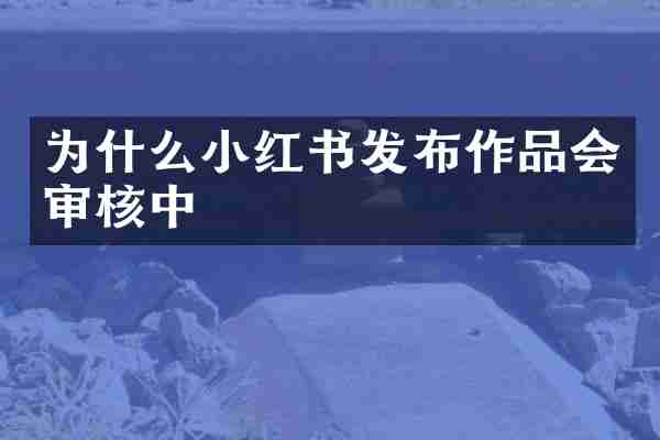 为什么小红书发布作品会审核中