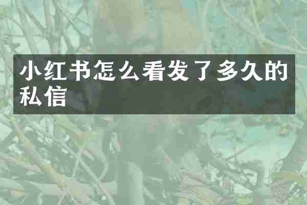 小红书怎么看发了多久的私信