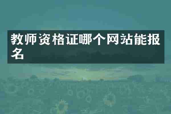 教师资格证哪个网站能报名