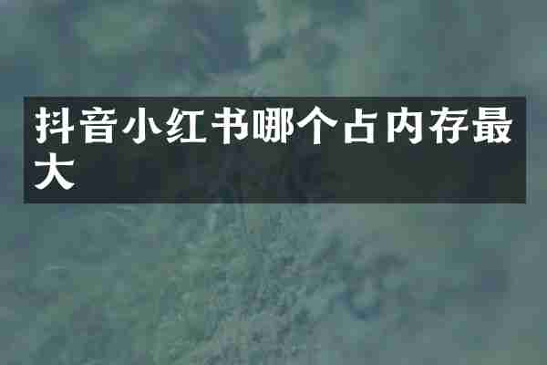抖音小红书哪个占内存最大