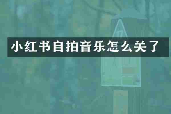 小红书自拍音乐怎么关了