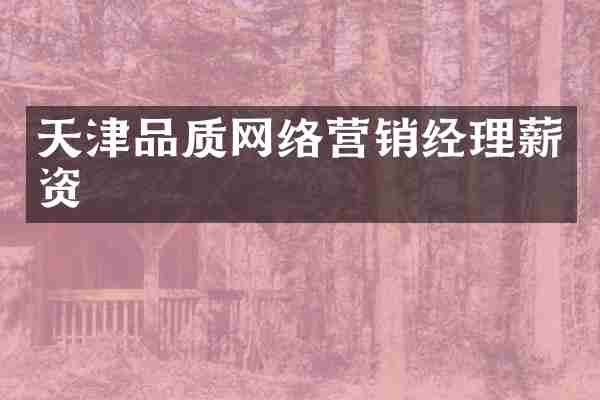 天津品质网络营销经理薪资