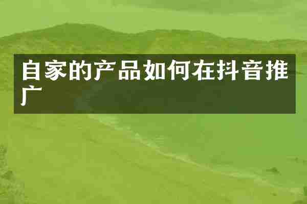 自家的产品如何在抖音推广