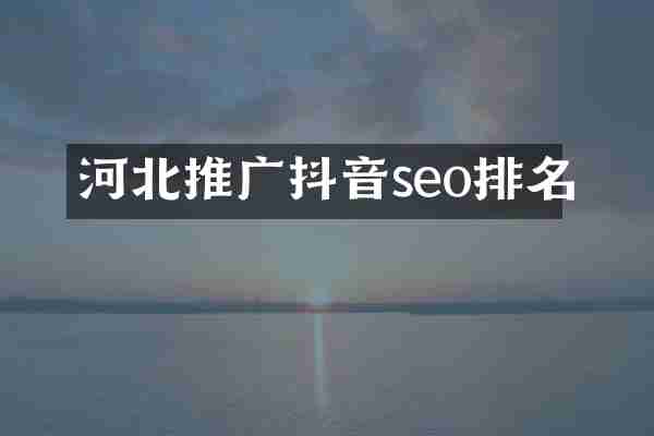 河北推广抖音seo排名