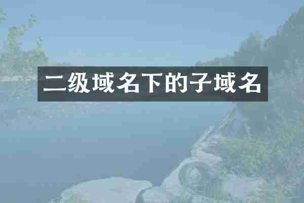 二级域名下的子域名