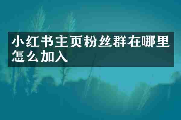 小红书主页粉丝群在哪里怎么加入