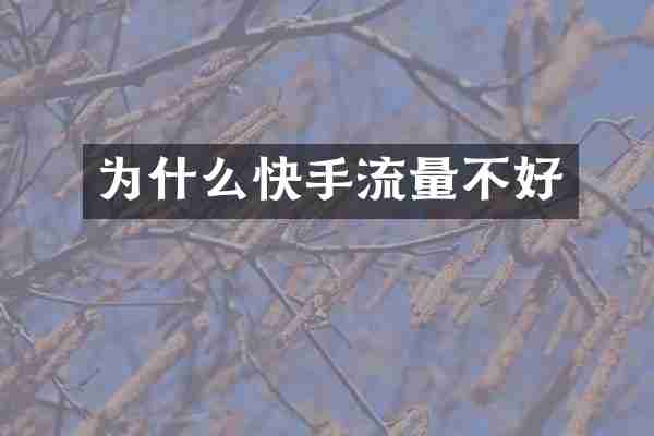为什么快手流量不好