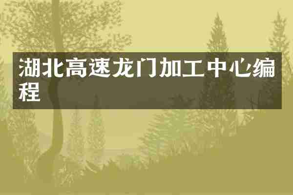湖北高速龙门加工中心编程