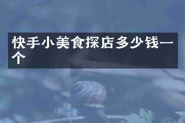 快手小美食探店多少钱一个