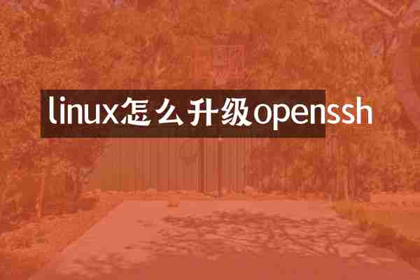 linux怎么升级openssh