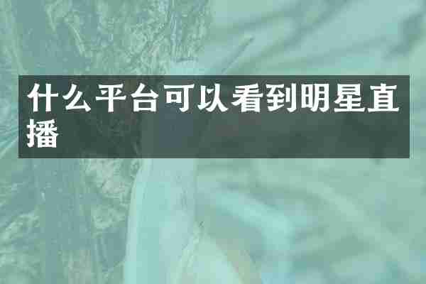 什么平台可以看到明星直播