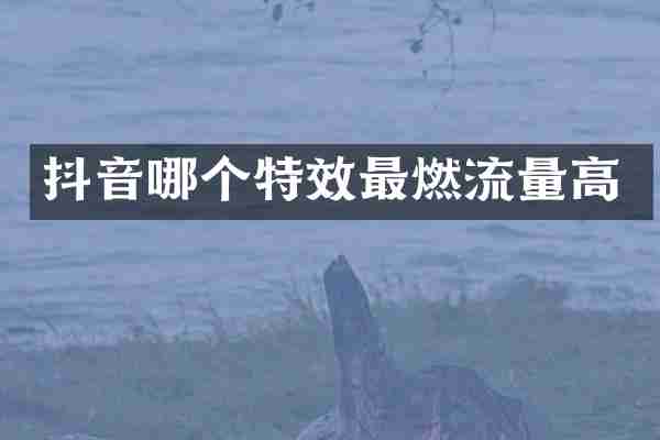 抖音哪个特效最燃流量高