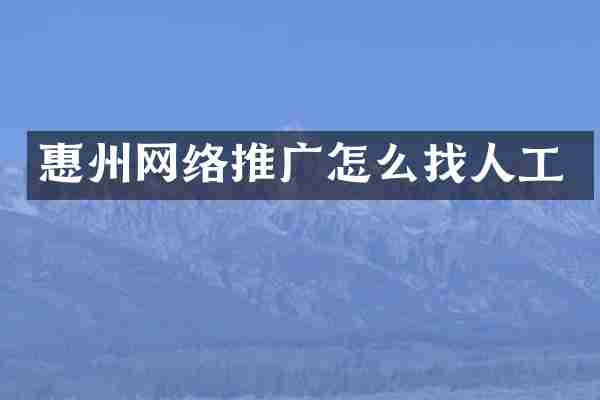 惠州网络推广怎么找人工