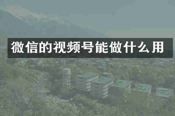 微信的视频号能做什么用