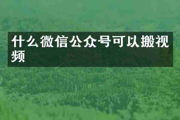 什么微信公众号可以搬视频