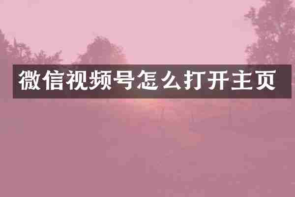 微信视频号怎么打开主页
