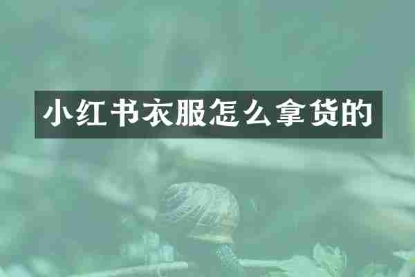 小红书衣服怎么拿货的