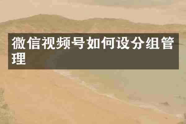 微信视频号如何设分组管理