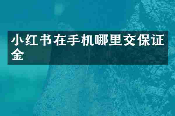 小红书在手机哪里交保证金