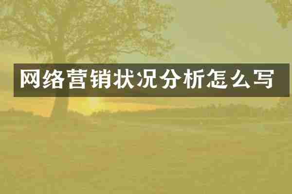 网络营销状况分析怎么写