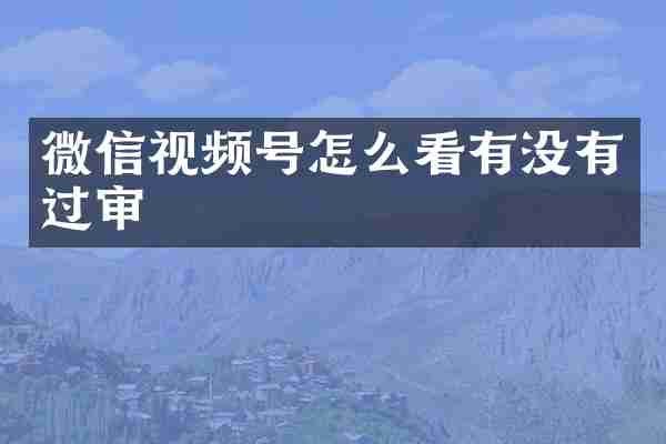 微信视频号怎么看有没有过审