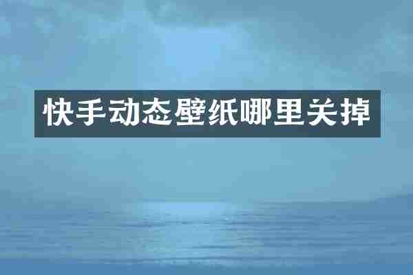 快手动态壁纸哪里关掉