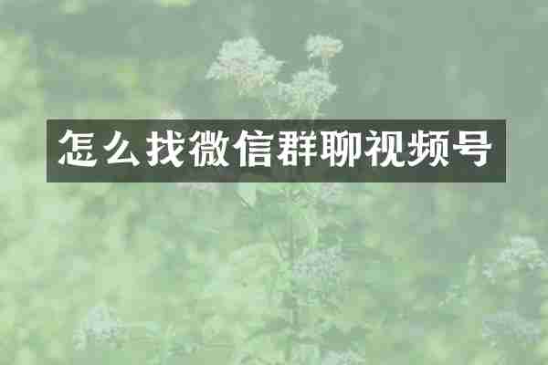 怎么找微信群聊视频号