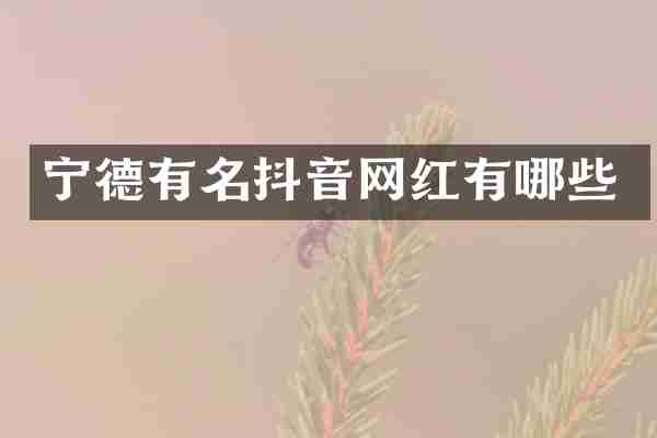 宁德有名抖音网红有哪些