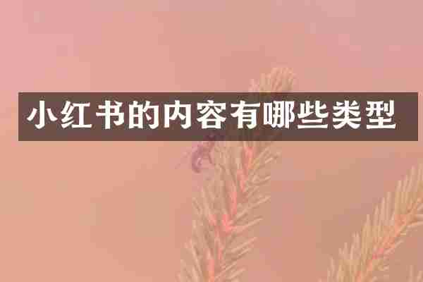 小红书的内容有哪些类型