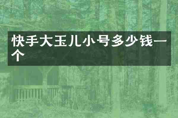 快手大玉儿小号多少钱一个