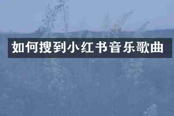 如何搜到小红书音乐歌曲