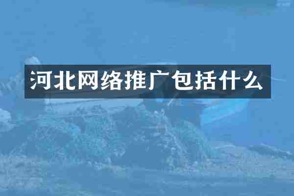 河北网络推广包括什么