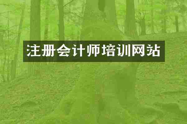 注册会计师培训网站