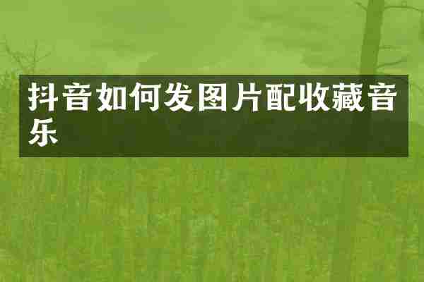 抖音如何发图片配收藏音乐