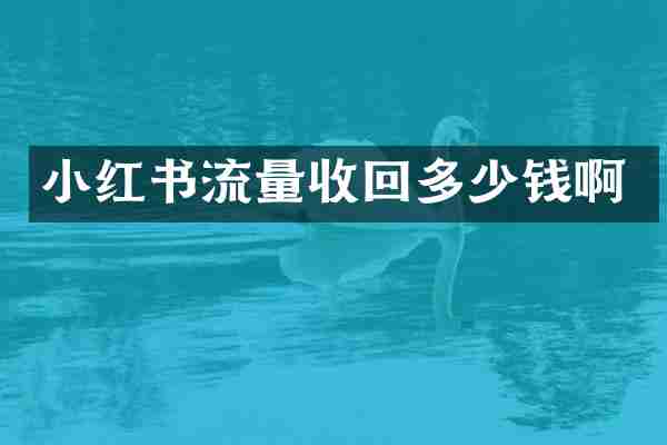 小红书流量收回多少钱啊