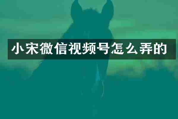 小宋微信视频号怎么弄的