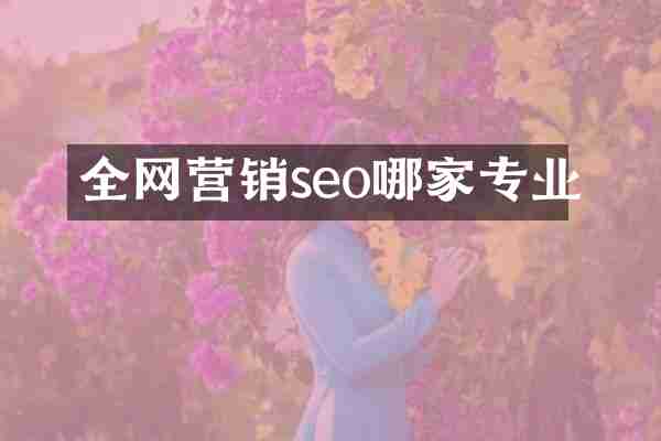 全网营销seo哪家专业