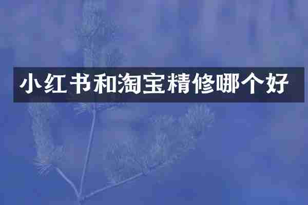 小红书和淘宝精修哪个好