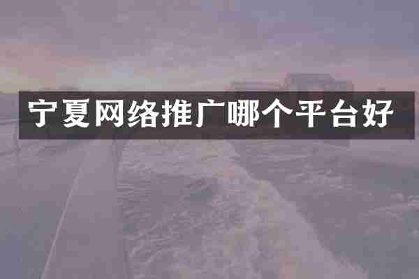 宁夏网络推广哪个平台好