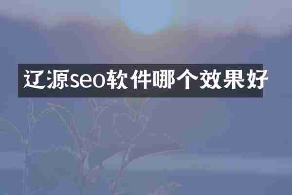 辽源seo软件哪个效果好
