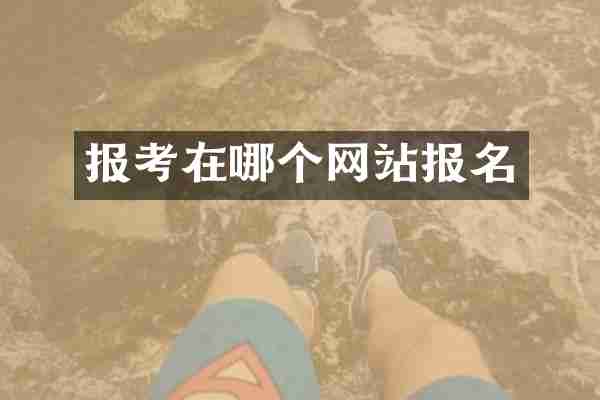 报考在哪个网站报名