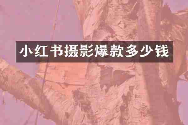 小红书摄影爆款多少钱