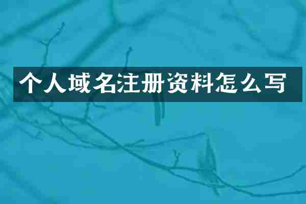 个人域名注册资料怎么写