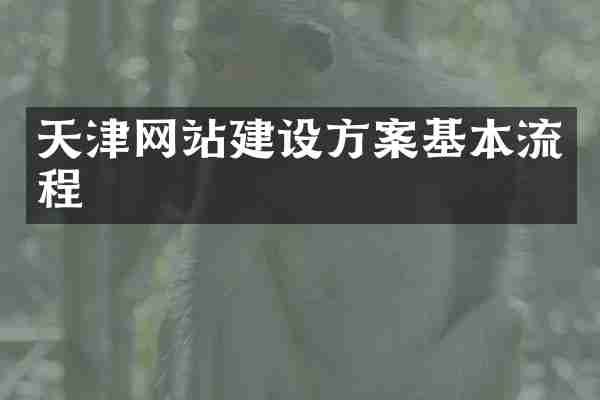 天津网站建设方案基本流程