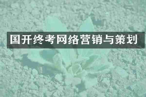 国开终考网络营销与策划