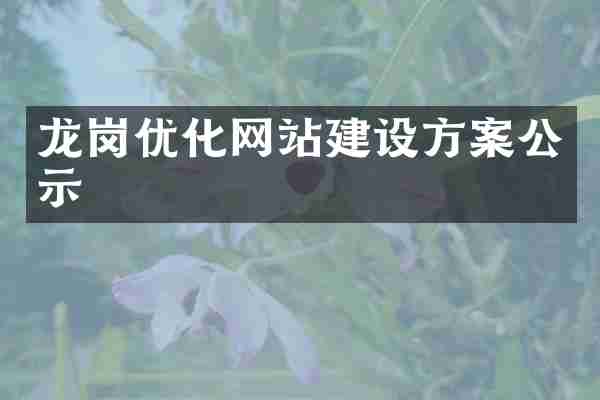 龙岗优化网站建设方案公示